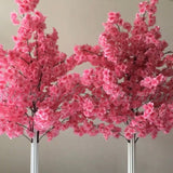 Pink Cherry Blossom Trees